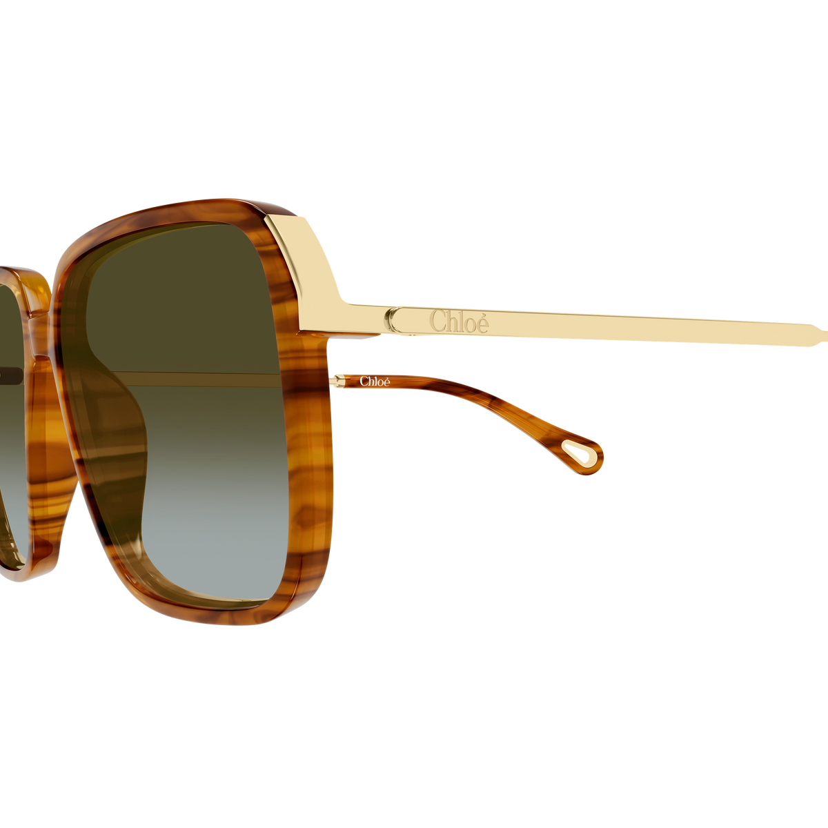 Chloé CH0405S Écaille Havane et Or 003 en détail des branches - Les Lunettes de Pauline