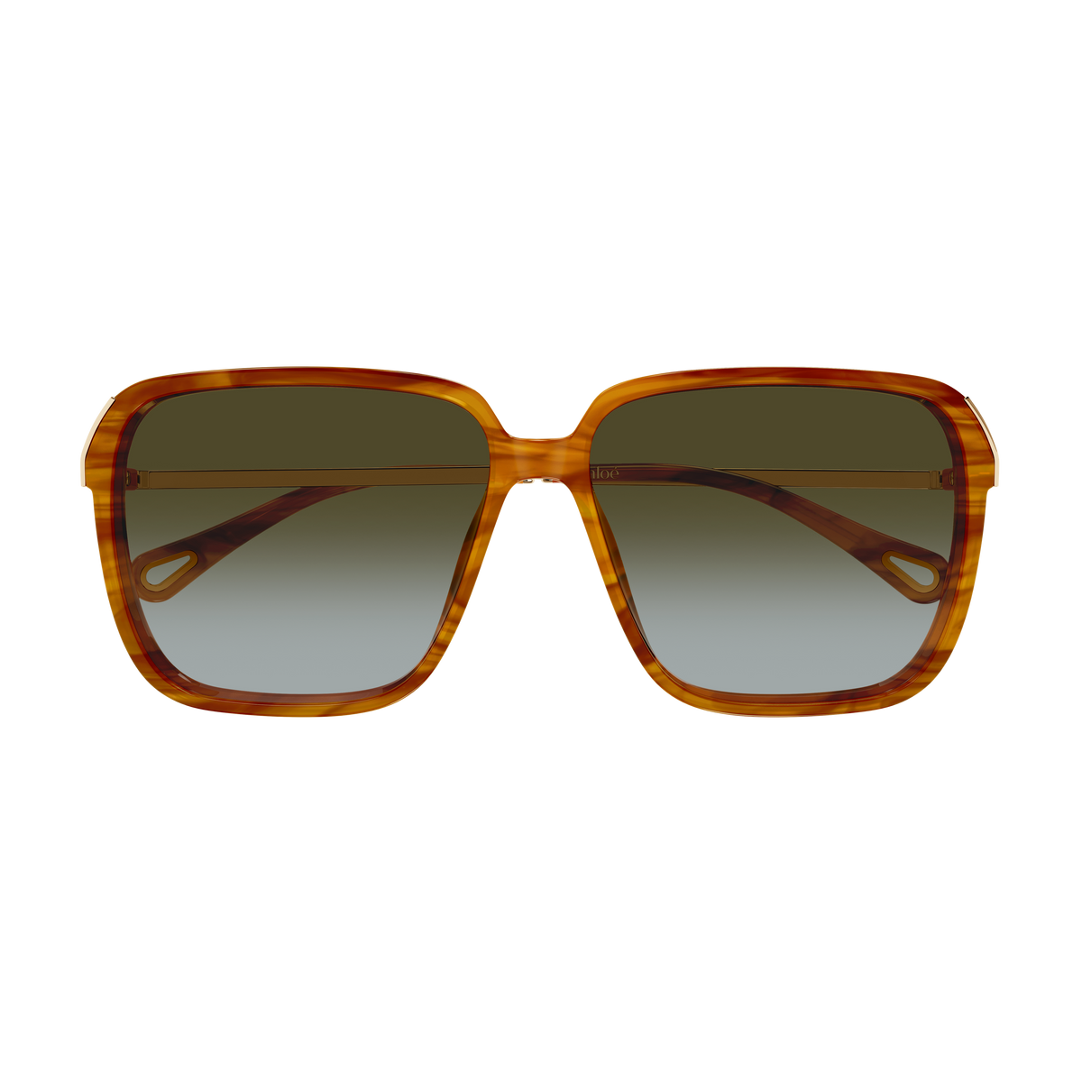 Chloé CH0405S Écaille Havane et Or 003 de face - Les Lunettes de Pauline