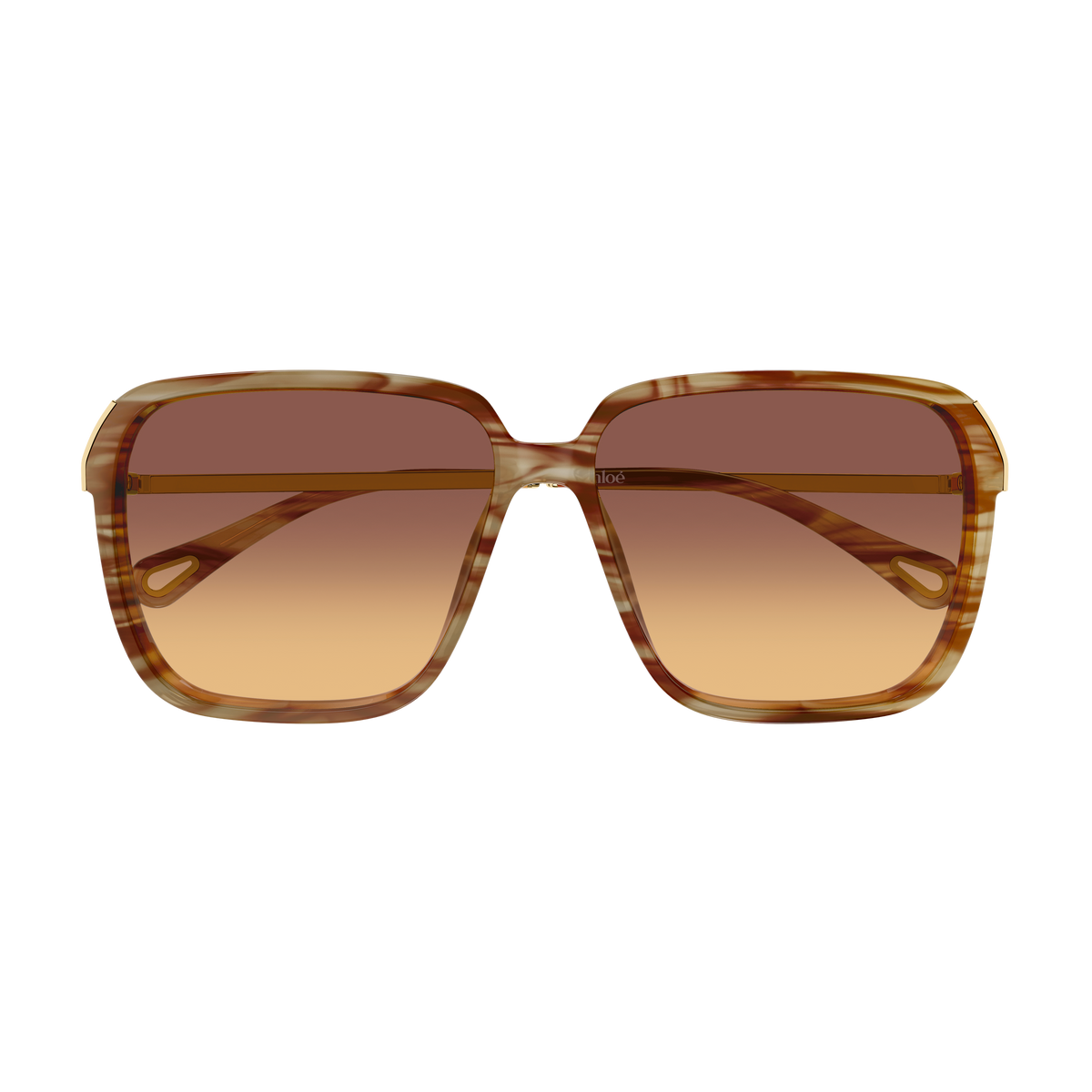 Chloé CH0405S Écaille Havane et Or 004 de face - Les Lunettes de Pauline
