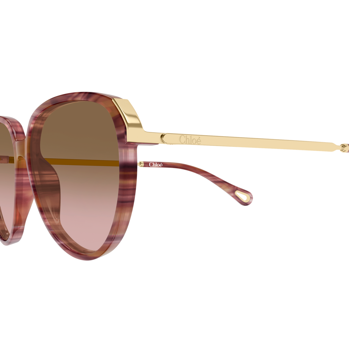 Chloé CH0406S Écaille Havane et Or 002 en détail des branches - Les Lunettes de Pauline