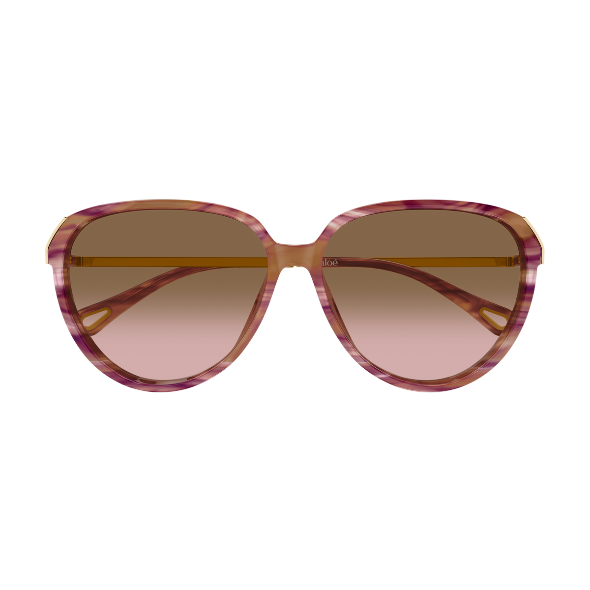 Chloé CH0406S Écaille Havane et Or 002 de face - Les Lunettes de Pauline