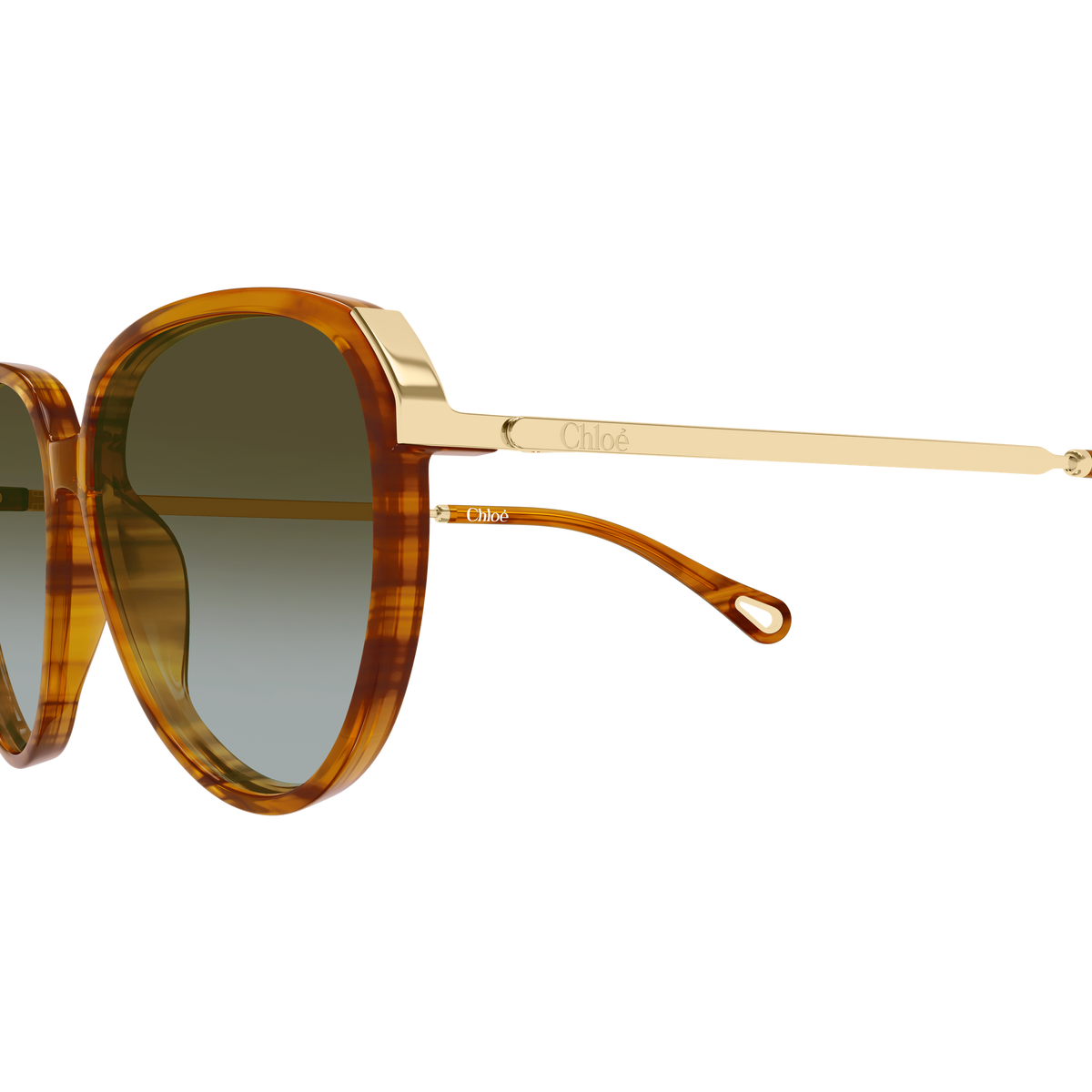 Chloé CH0406S Écaille Havane et Or 003 en détail des branches - Les Lunettes de Pauline