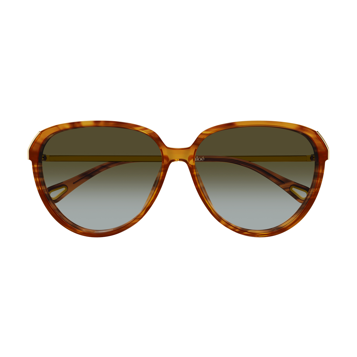 Chloé CH0406S Écaille Havane et Or 003 de face - Les Lunettes de Pauline