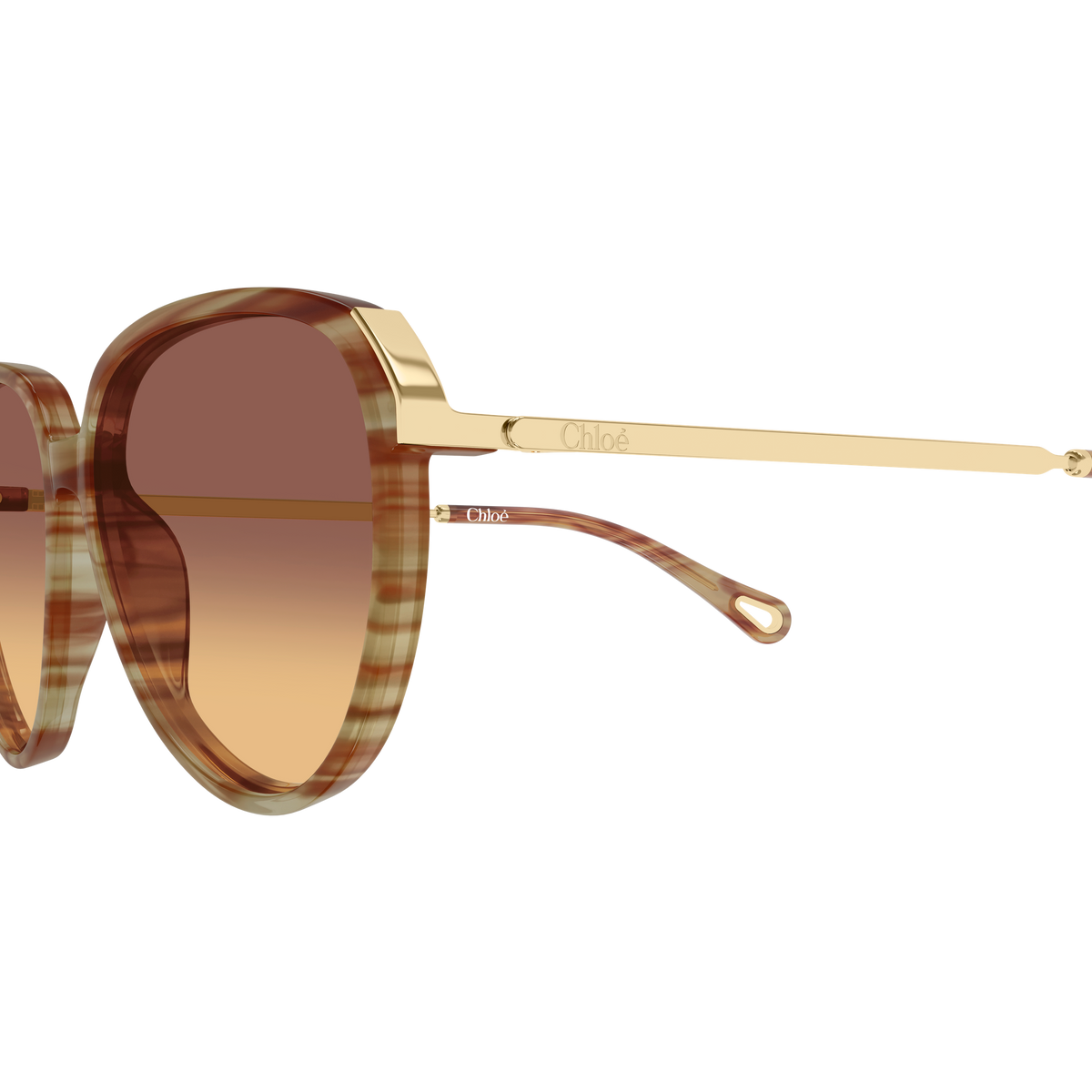 Chloé CH0406S Écaille Havane et Or 004 en détail des branches - Les Lunettes de Pauline