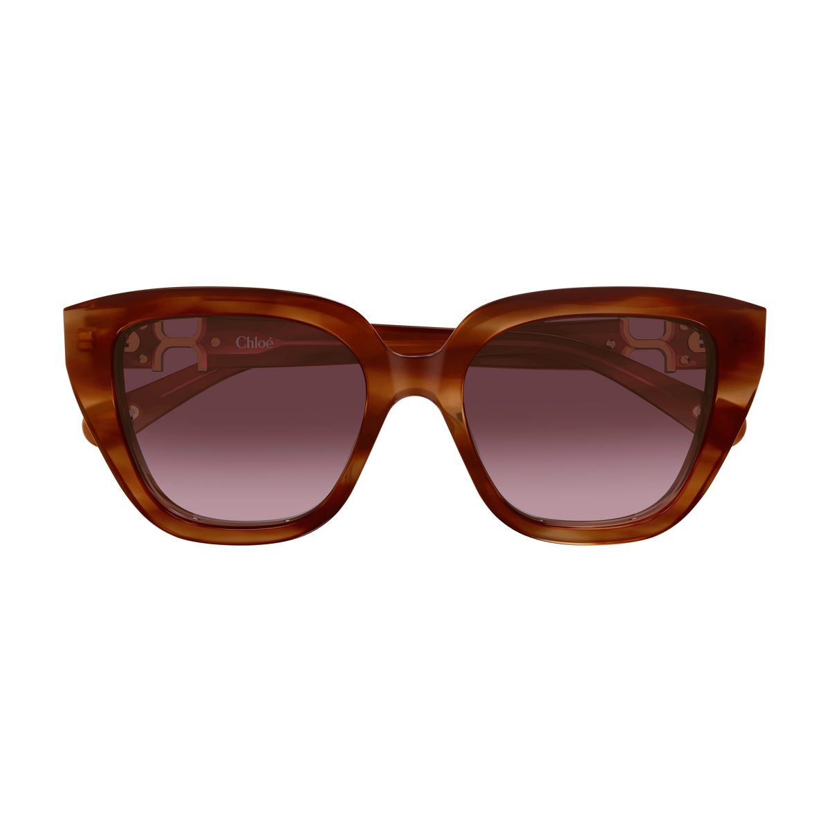 Chloé CH0410S Écaille Havane Verres Violets 003 de face - Les Lunettes de Pauline