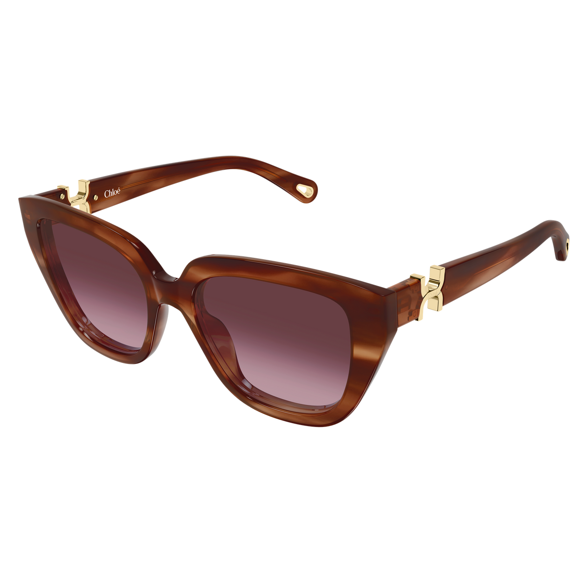 Chloé CH0410S Écaille Havane Verres Violets 003 de trois-quarts - Les Lunettes de Pauline