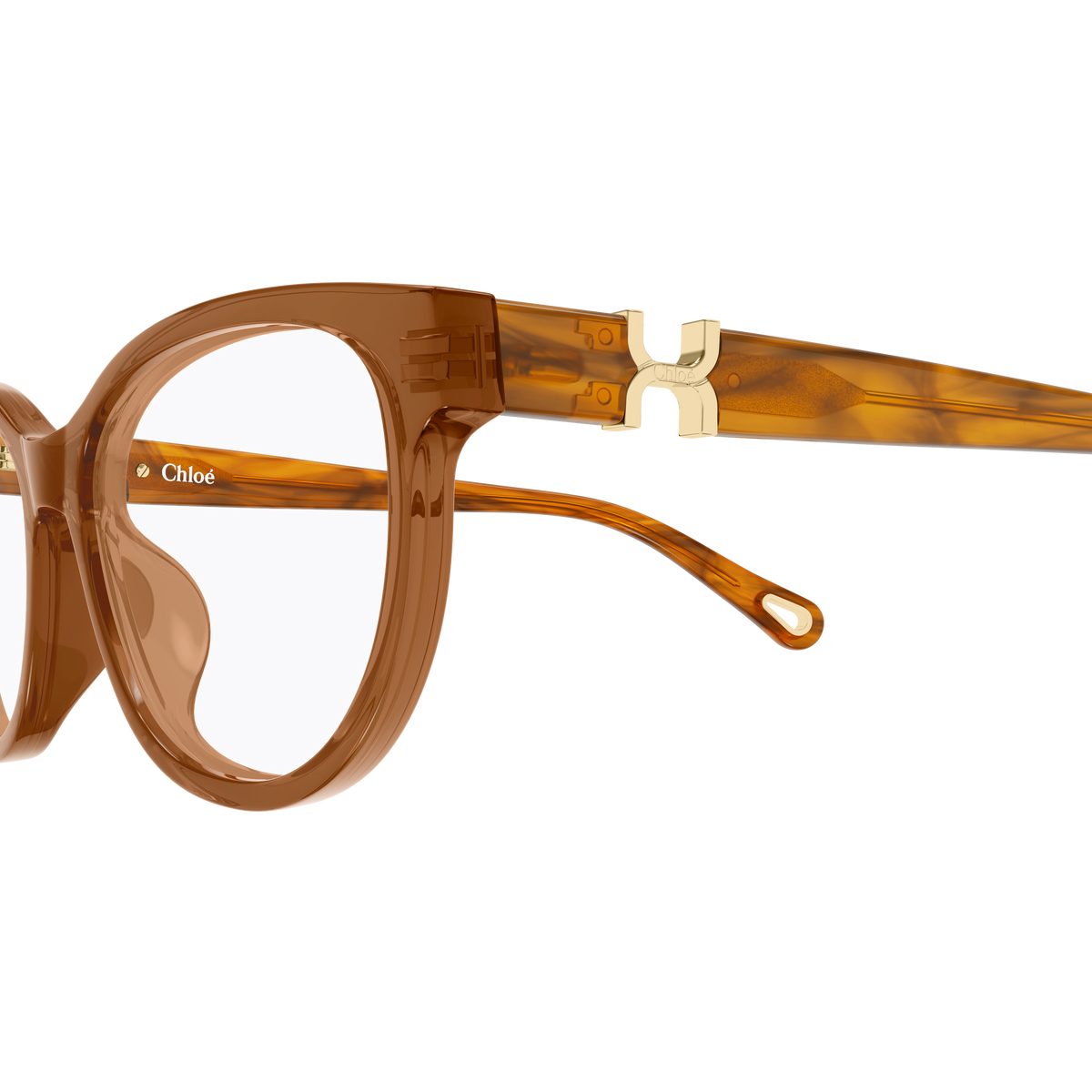 Chloé CH0411OL Brun et Écaille Havane 004 en détail des branches - Les Lunettes de Pauline