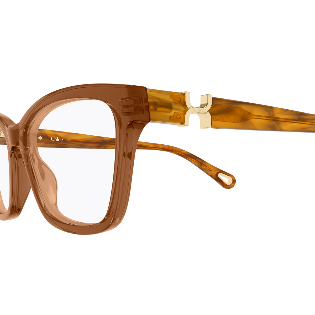 Chloé CH0412O Brun et Écaille Havane 004 en détail des branches - Les Lunettes de Pauline