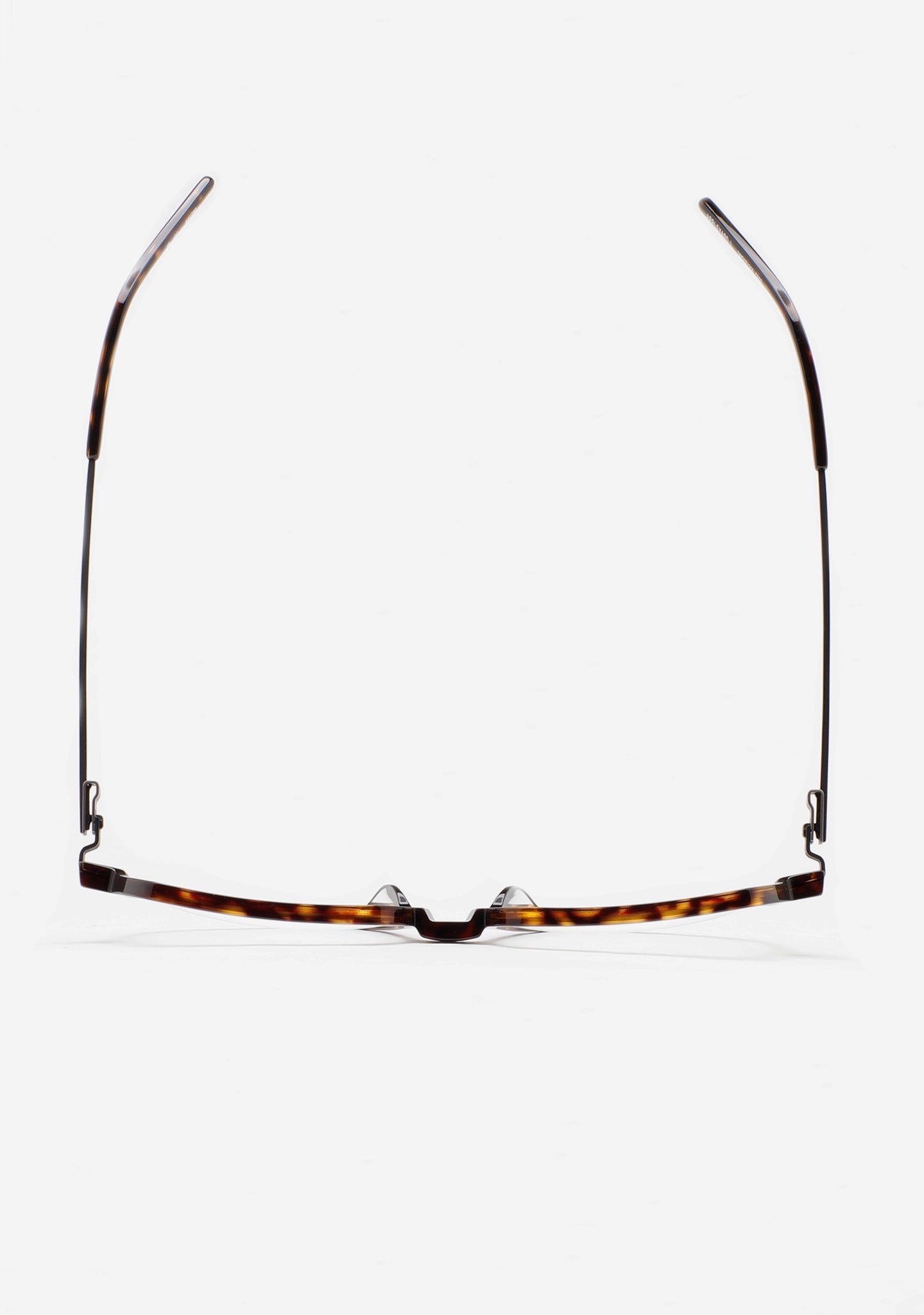 Kaleos Appleyard L - Les Lunettes de Pauline