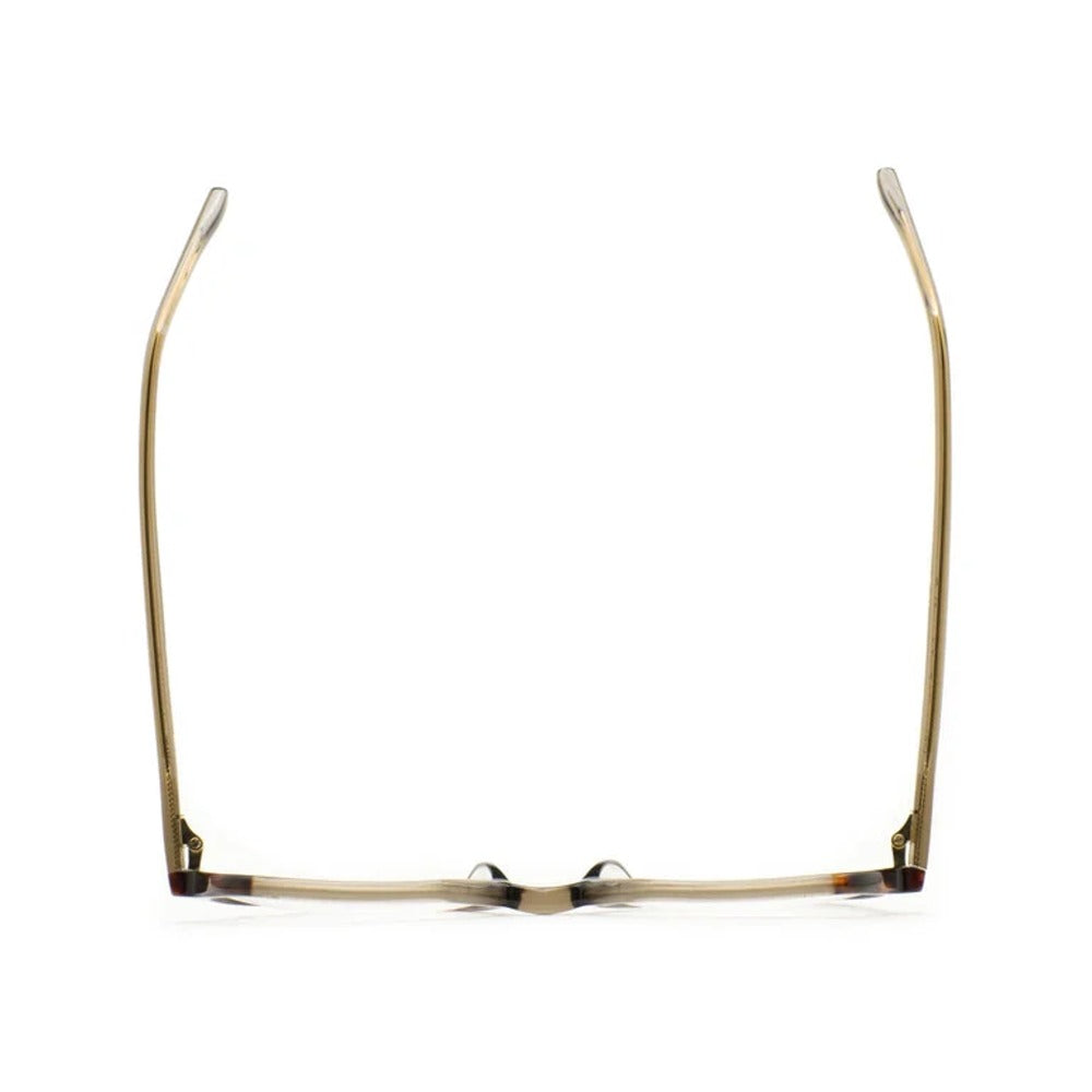 Kaleos Lynch Marron Cristal 03 vue de dessus - Les Lunettes de Pauline