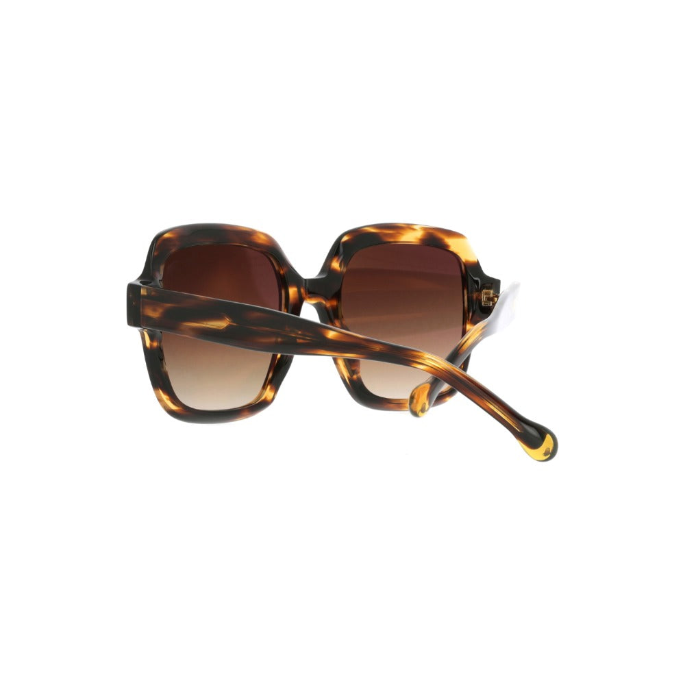Nuxe Eclat03 Écaille Marron et Miel E569 en détail des branches - Les Lunettes de Pauline