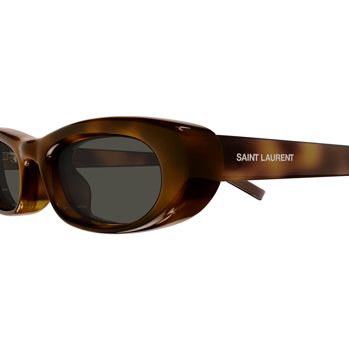 Saint Laurent SL Logo SL 557 Shade Plump Écaille Havane 002 en détail des branches - Les Lunettes de Pauline