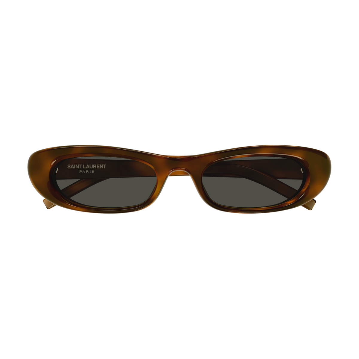 Saint Laurent SL Logo SL 557 Shade Plump Écaille Havane 002 de face - Les Lunettes de Pauline
