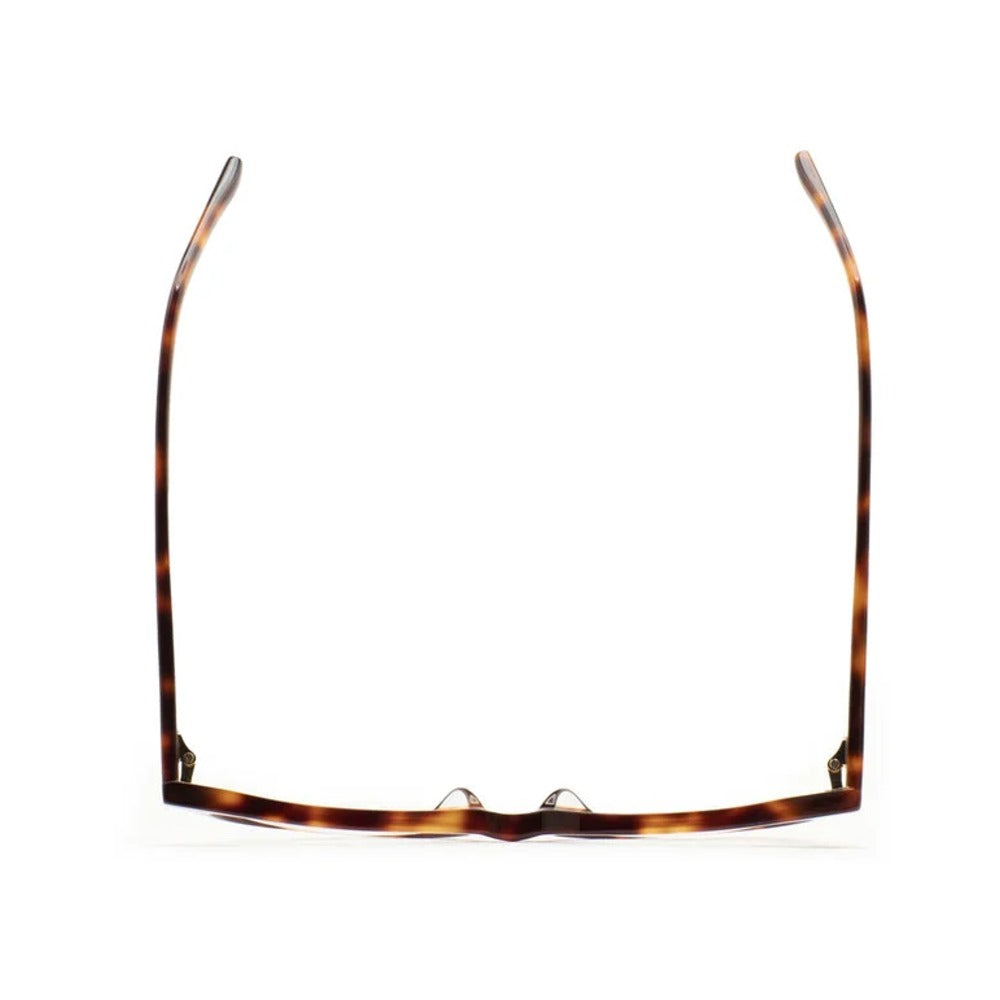 Kaleos Staples Havane 02 vue de dessus - Les Lunettes de Pauline