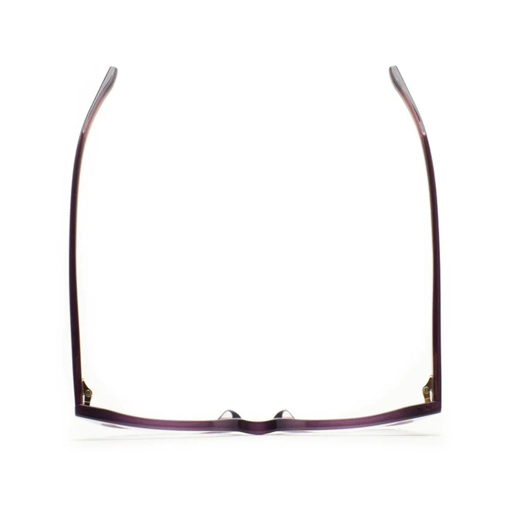 Kaleos Winner Violet Laiteux 05 vue de dessus - Les Lunettes de Pauline